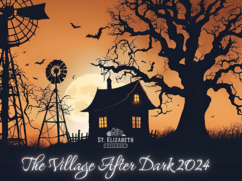 Village After Dark