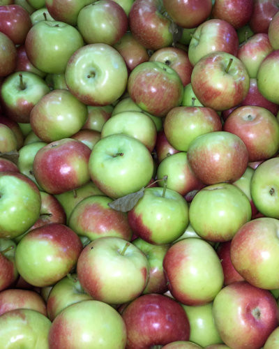 Apples