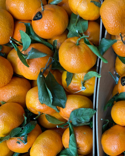 Oranges